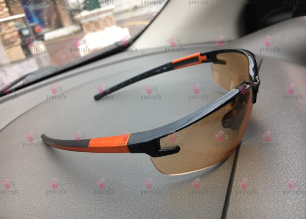 DELTA PLUS FUJI2 GRADIENT GLASSES