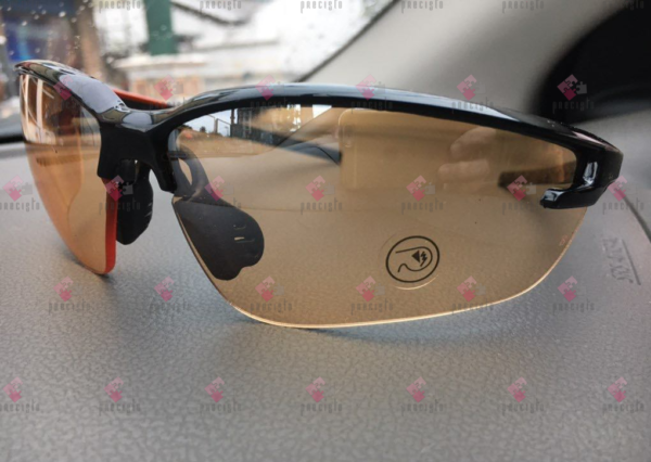 DELTA PLUS FUJI2 GRADIENT GLASSES