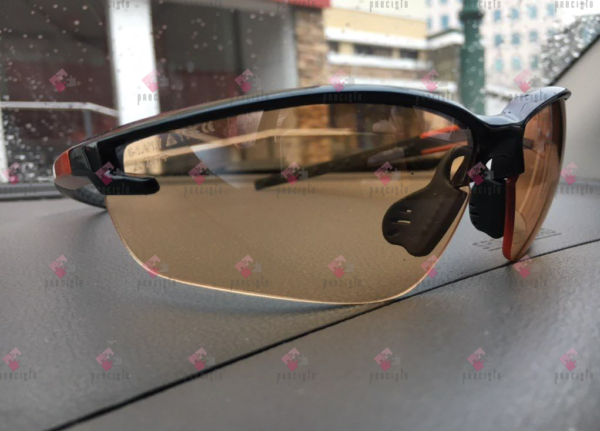 DELTA PLUS FUJI2 GRADIENT GLASSES
