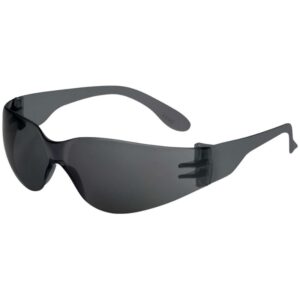 DELTA PLUS BRAVA2 SMOKE sunglasses with a single dark gray lens and gray temples