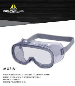 DELTA PLUS MURIA 1 GOGGLES