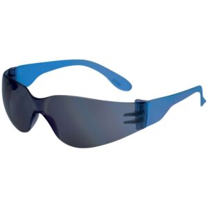DELTA PLUS BRAVA2 MIRROR sunglasses with dark, mirrored lenses and blue temples.